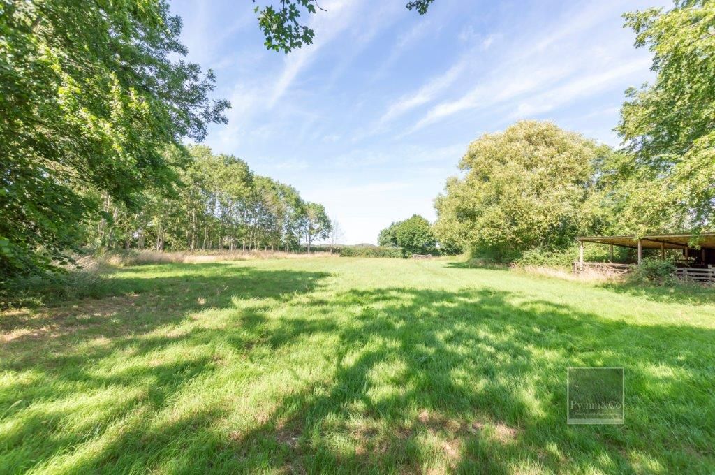 High Common Cottage, Wymondham Road, Wreningham, Norwich, Norfolk, NR16 1AY