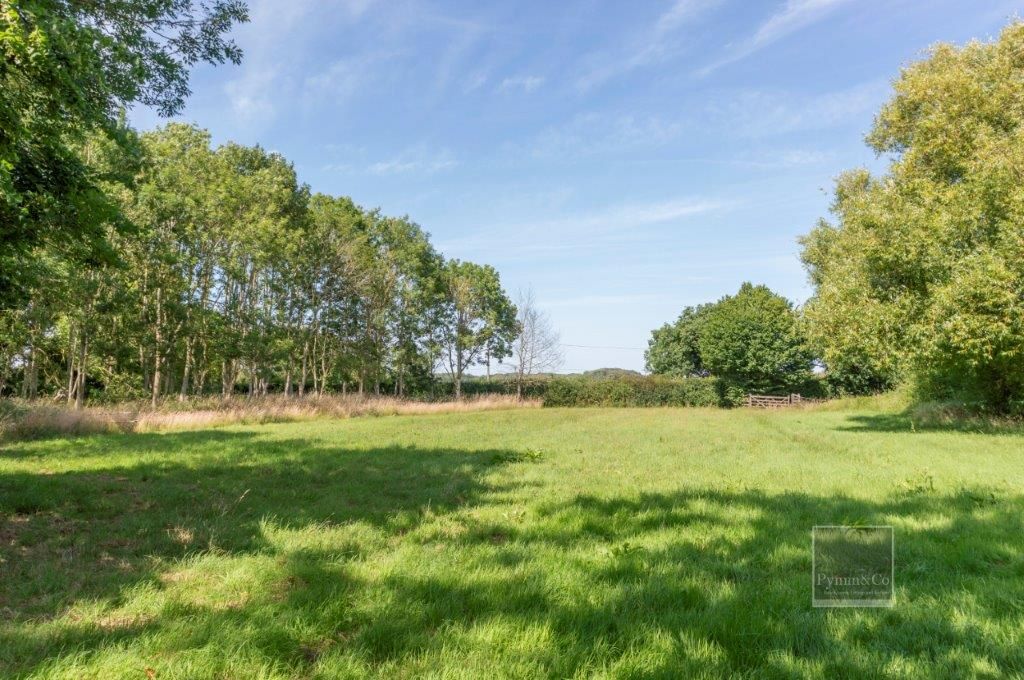 High Common Cottage, Wymondham Road, Wreningham, Norwich, Norfolk, NR16 1AY