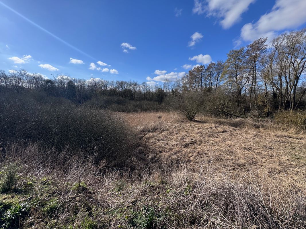 Acle Garden Machinery, Norwich Road, Acle, Norwich, Norfolk, NR13 3BY