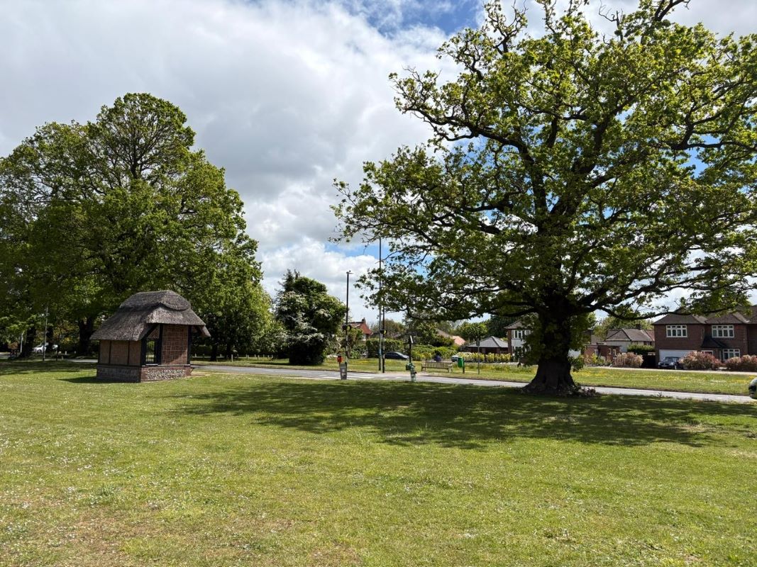 Lot Image