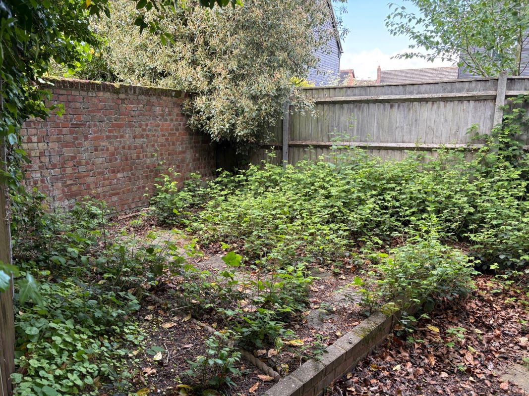 Lot Image