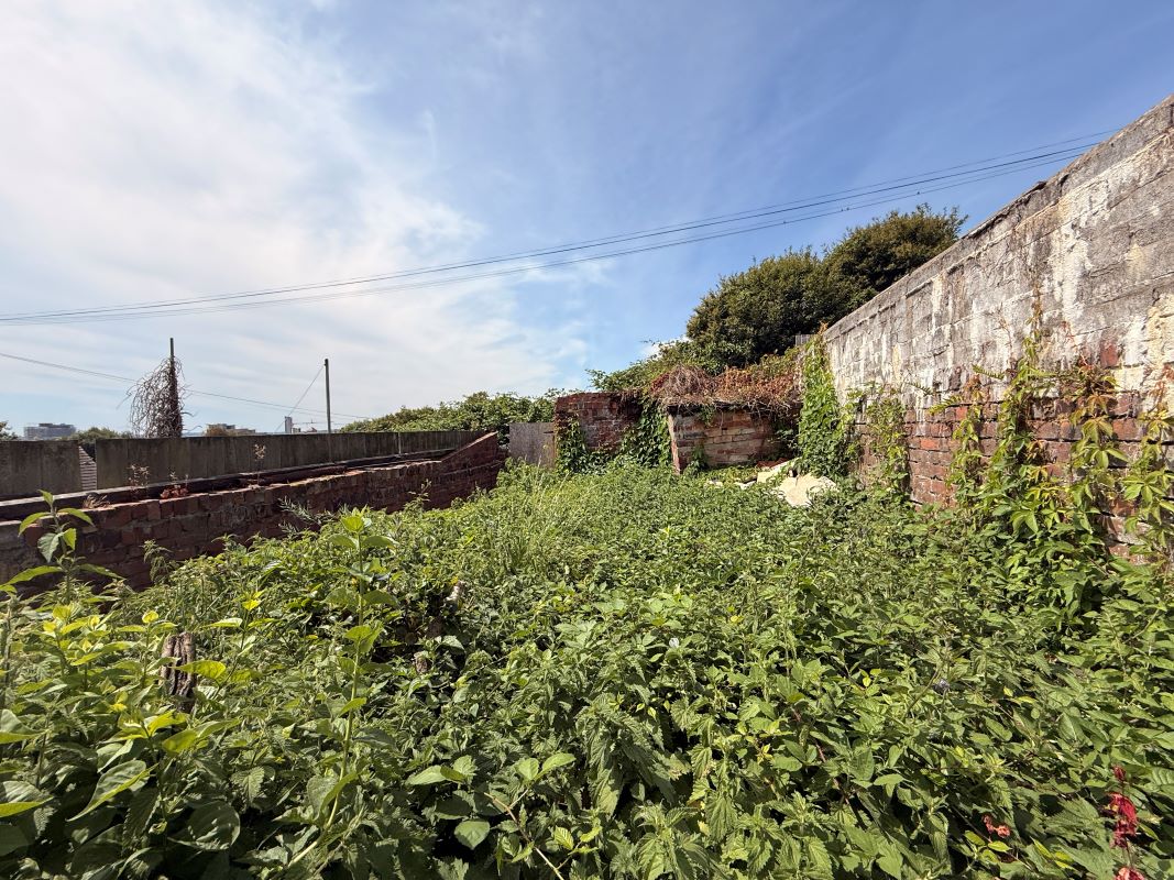 Lot Image