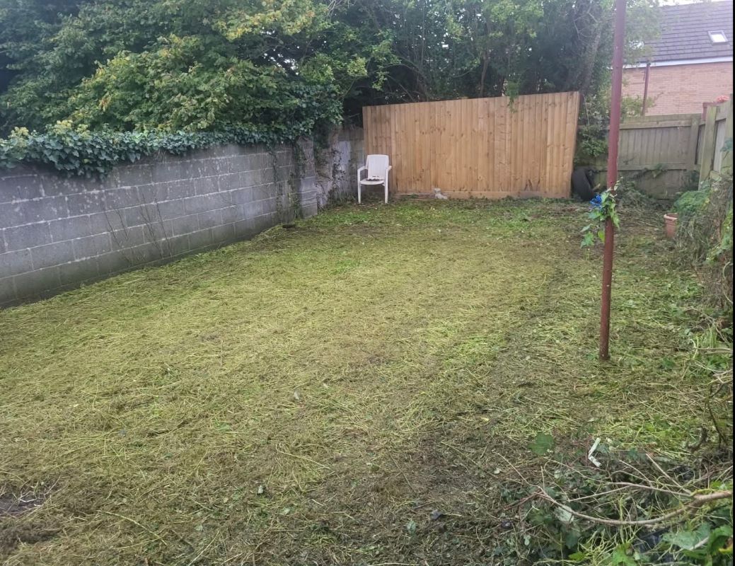 Lot Image