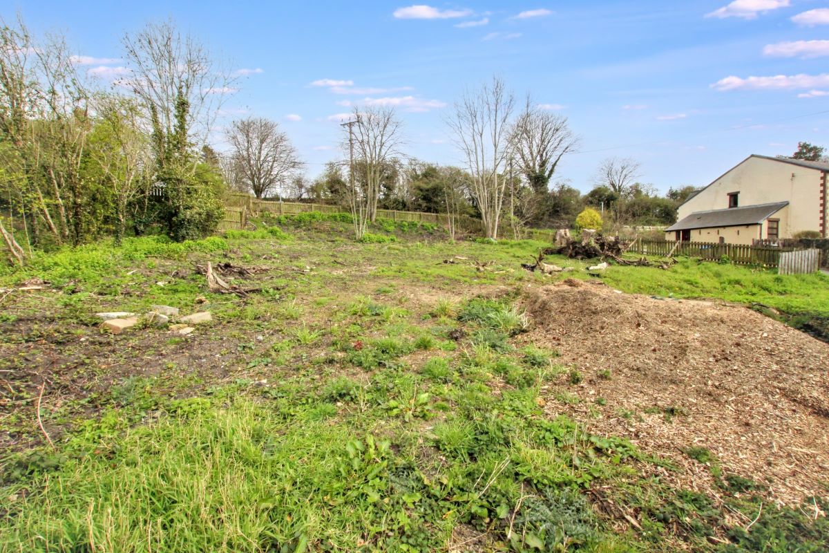 Lot Image