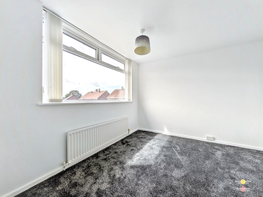Image 19 of 20