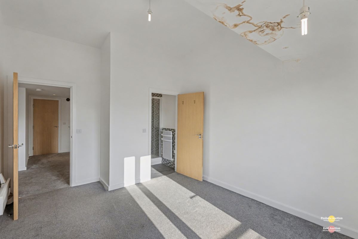 Image 10 of 16