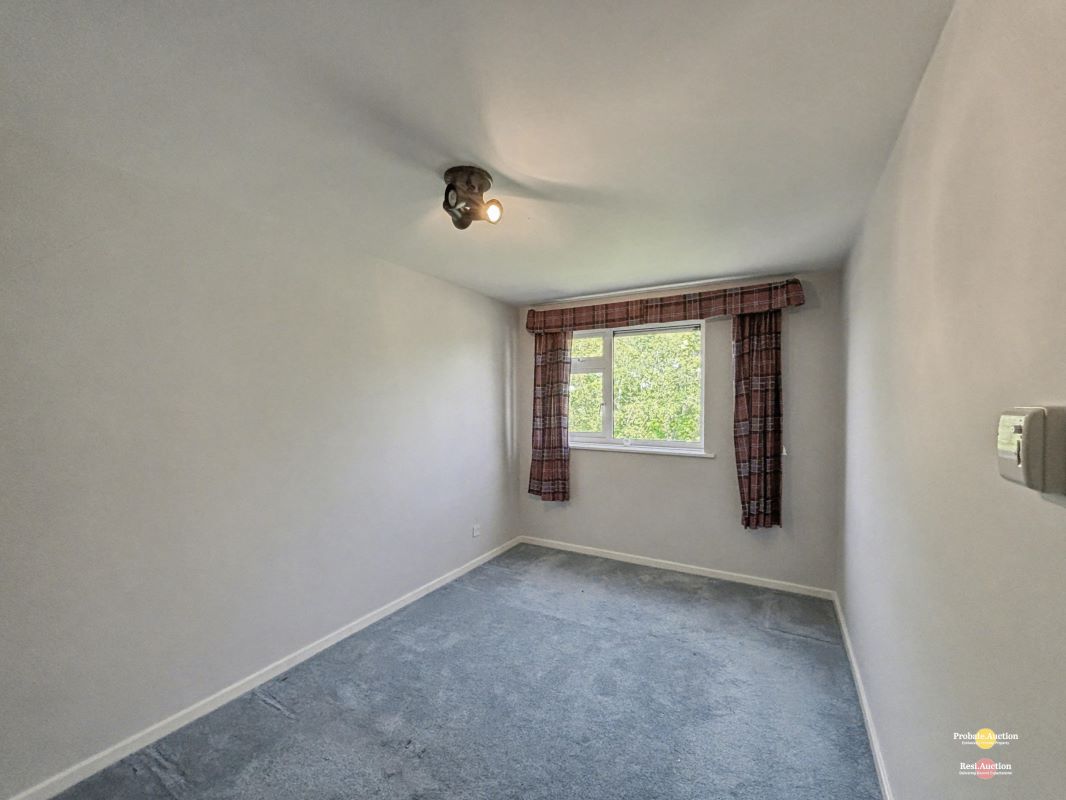 Image 11 of 13