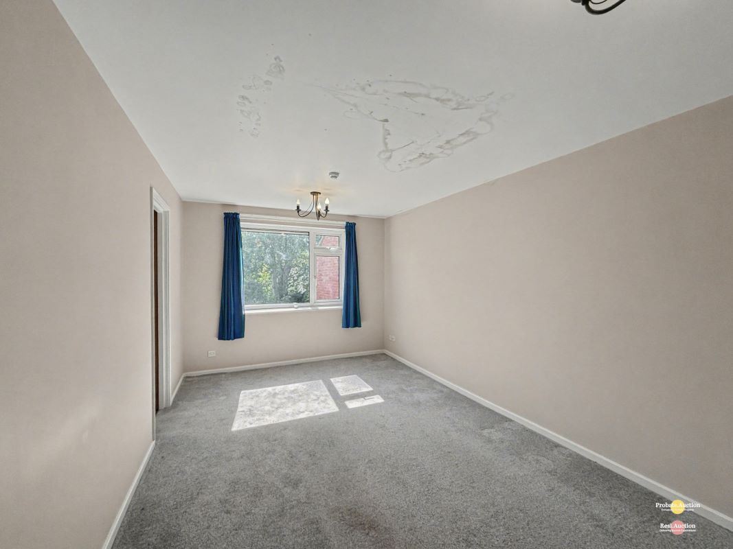 Image 7 of 13