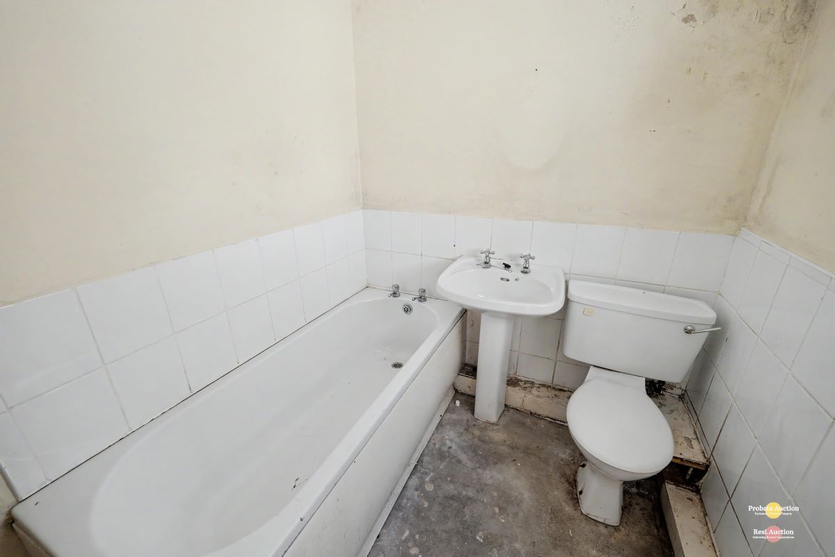 Image 14 of 14