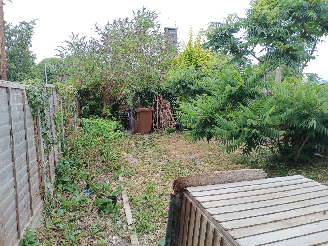 Image 5 of 5