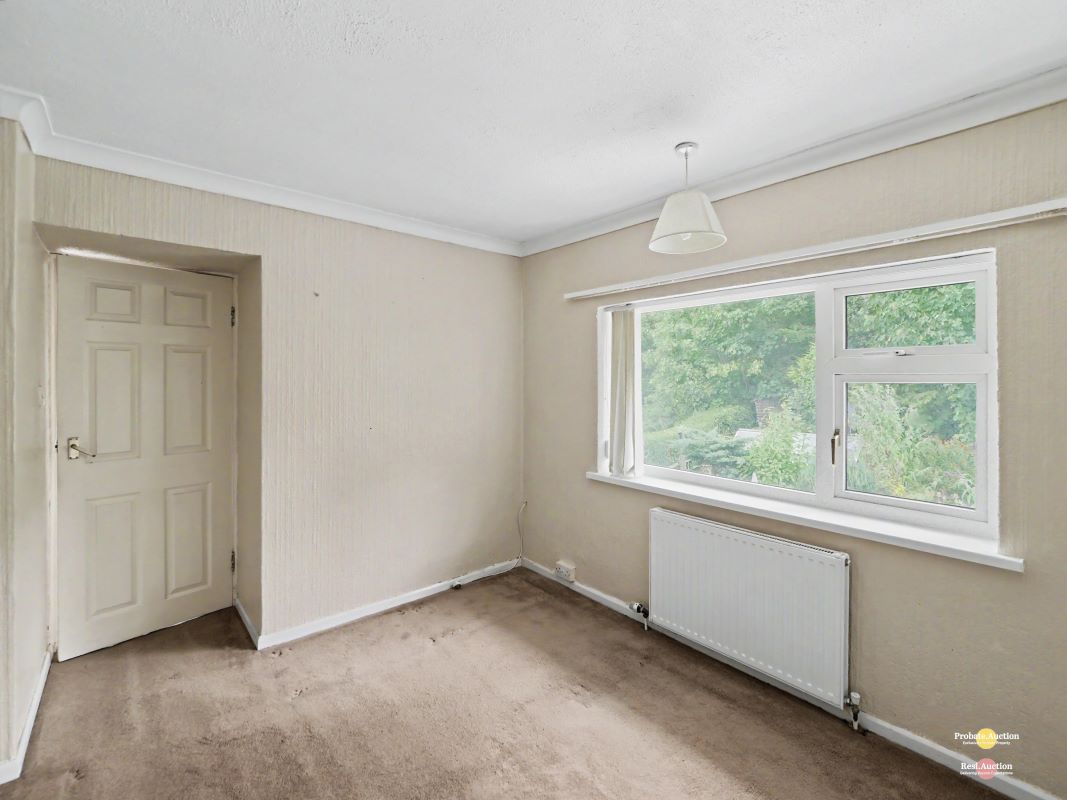 Image 12 of 17