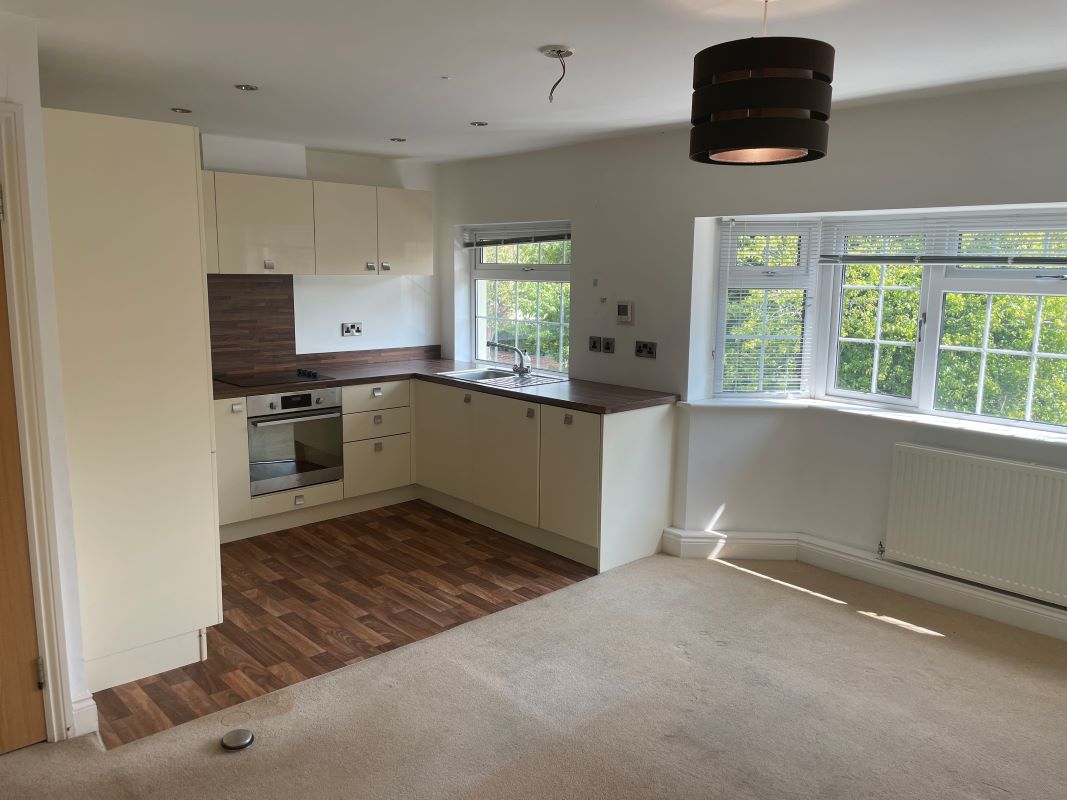 Image 10 of 14
