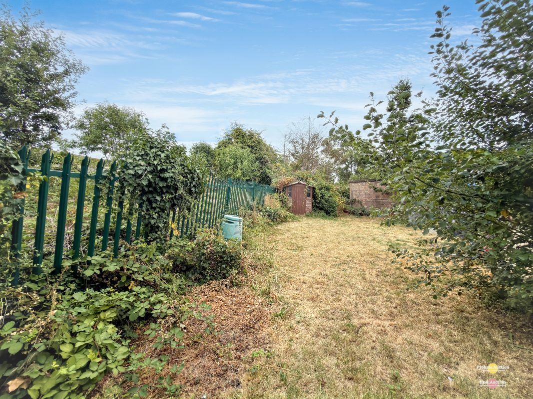 Image 3 of 11