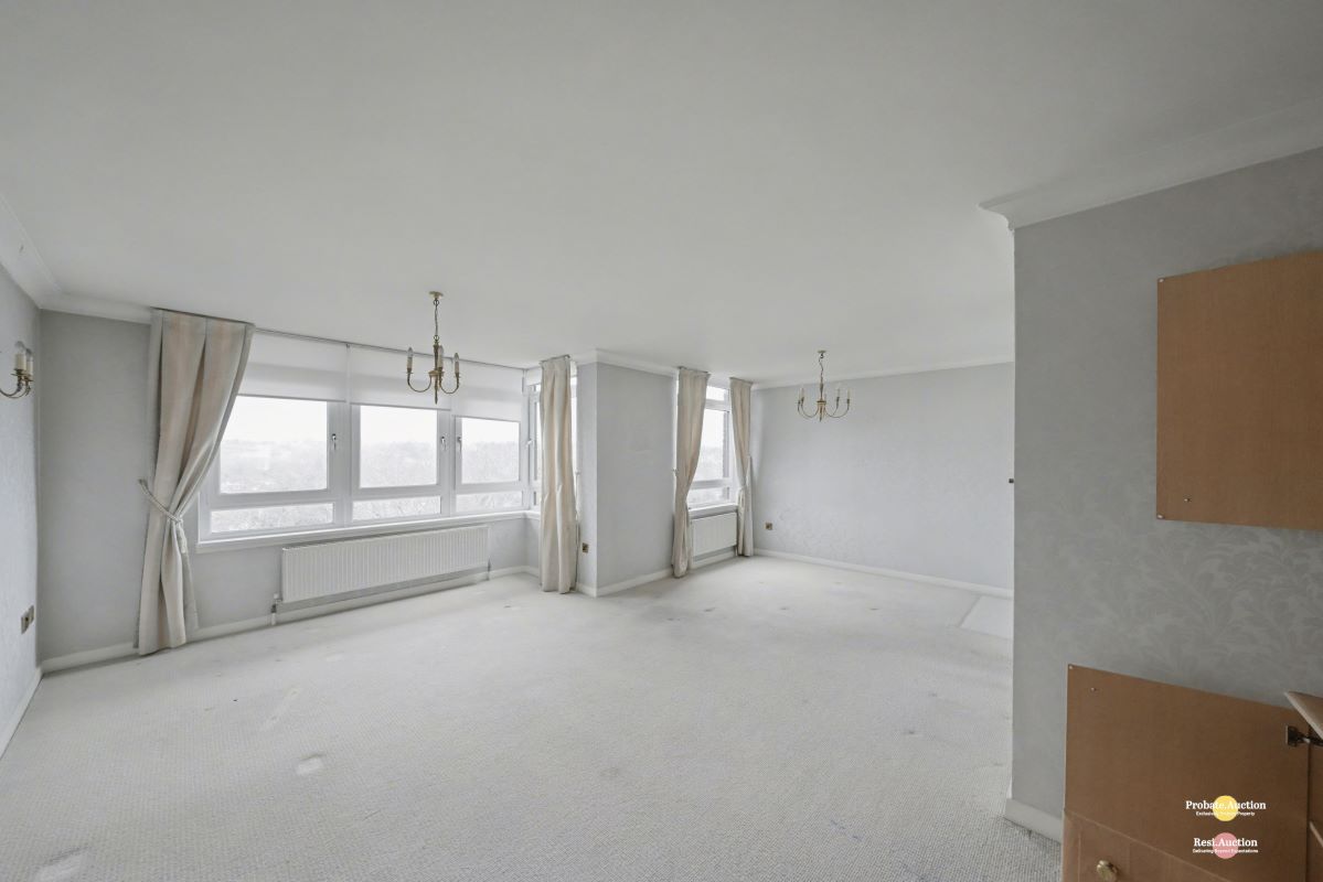 Image 7 of 17