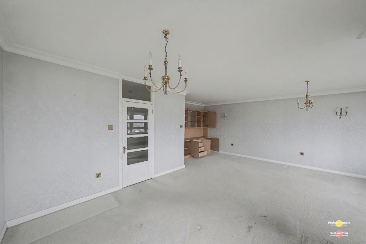 Image 4 of 17