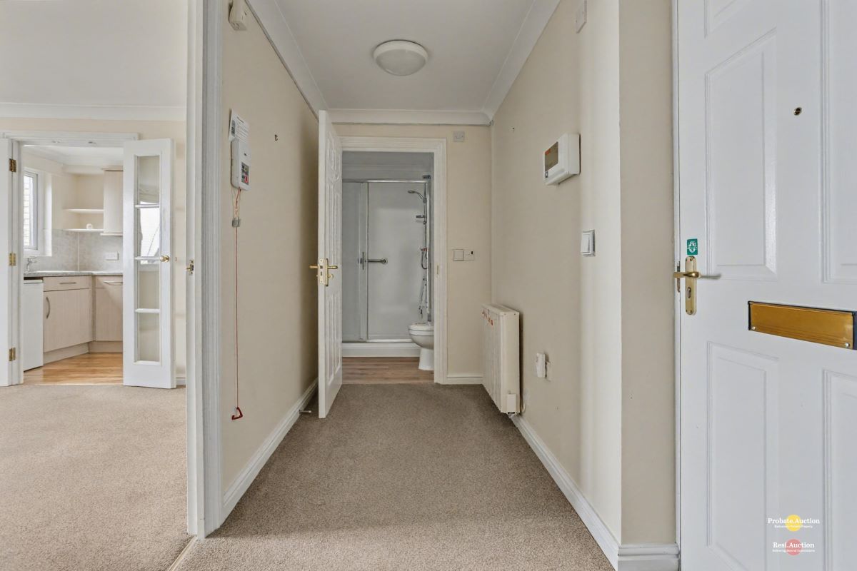 Image 11 of 15