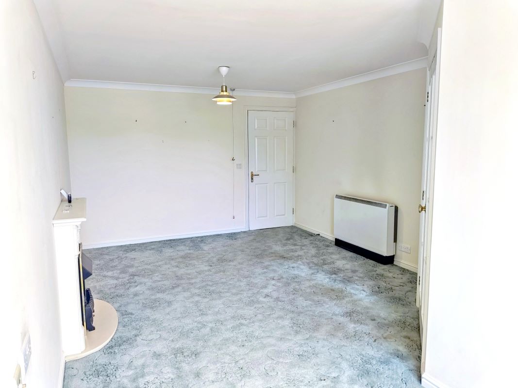 Image 7 of 11