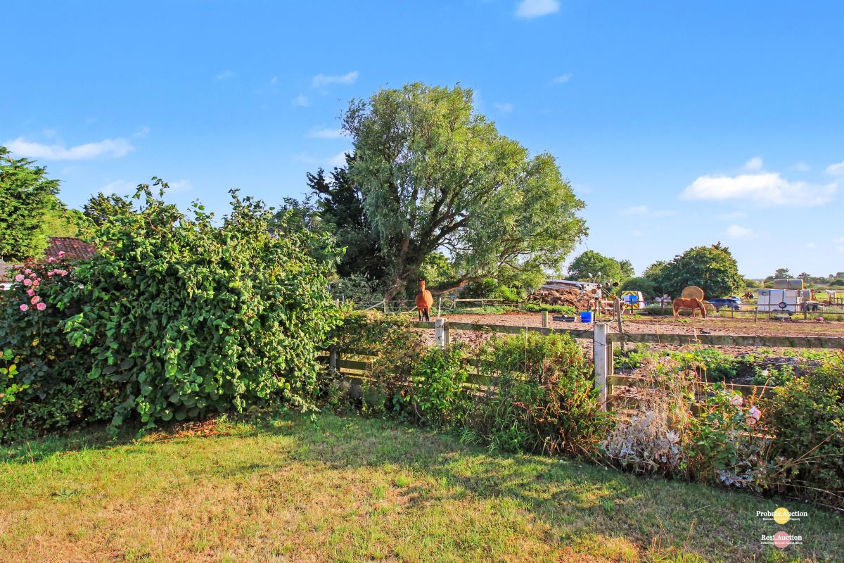 Image 8 of 20
