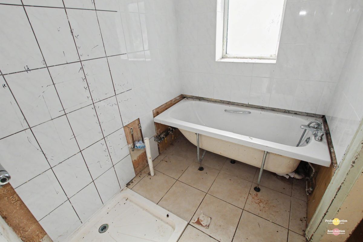 Image 12 of 21