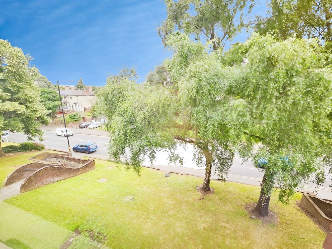 Primary Lot Photo