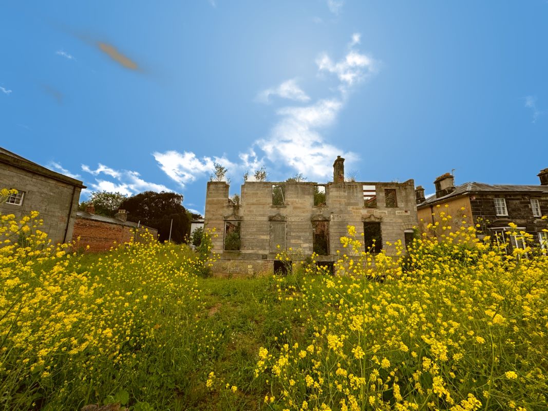 Lot Image