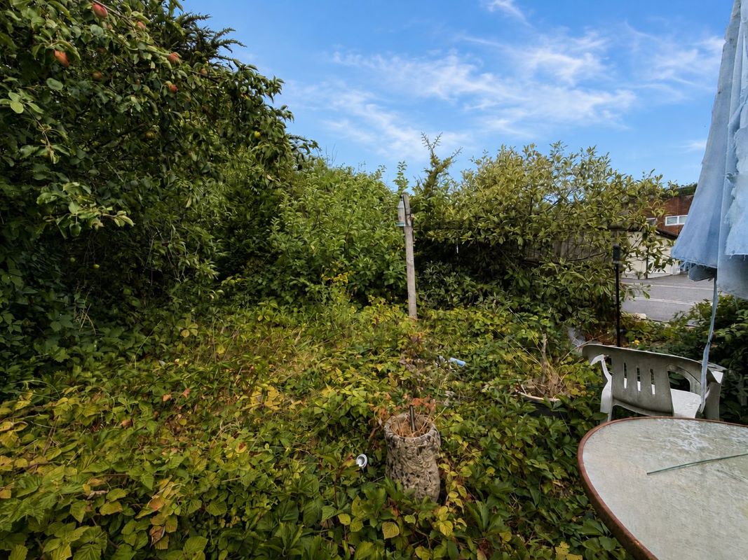 Lot Image