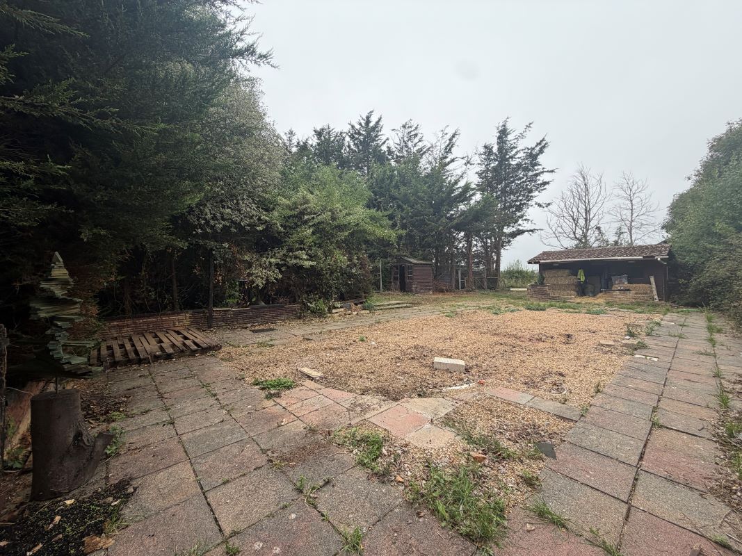 Lot Image