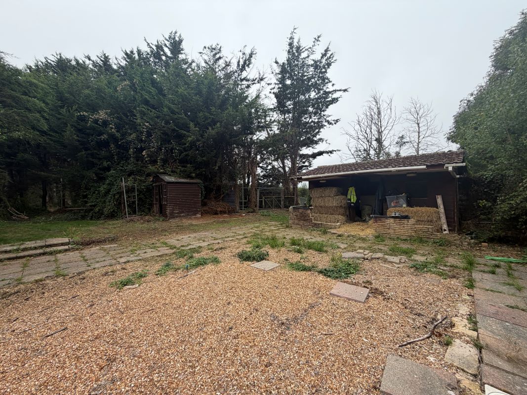 Lot Image