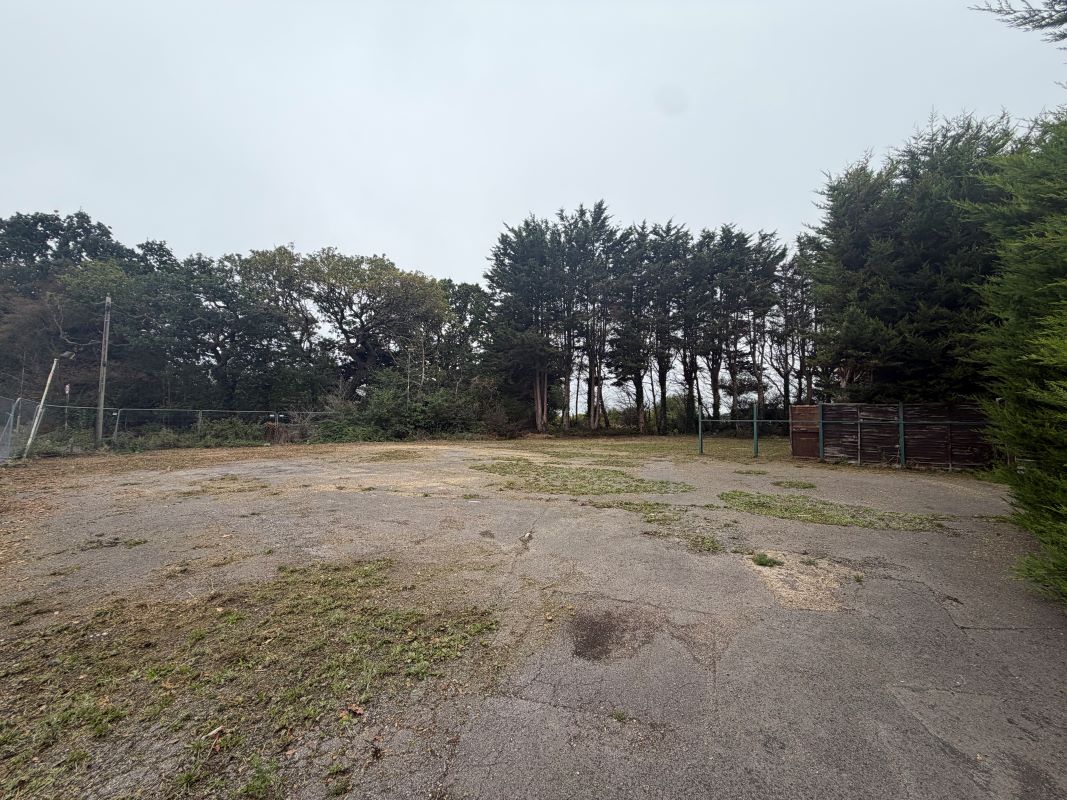 Lot Image