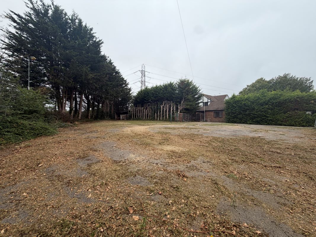 Lot Image
