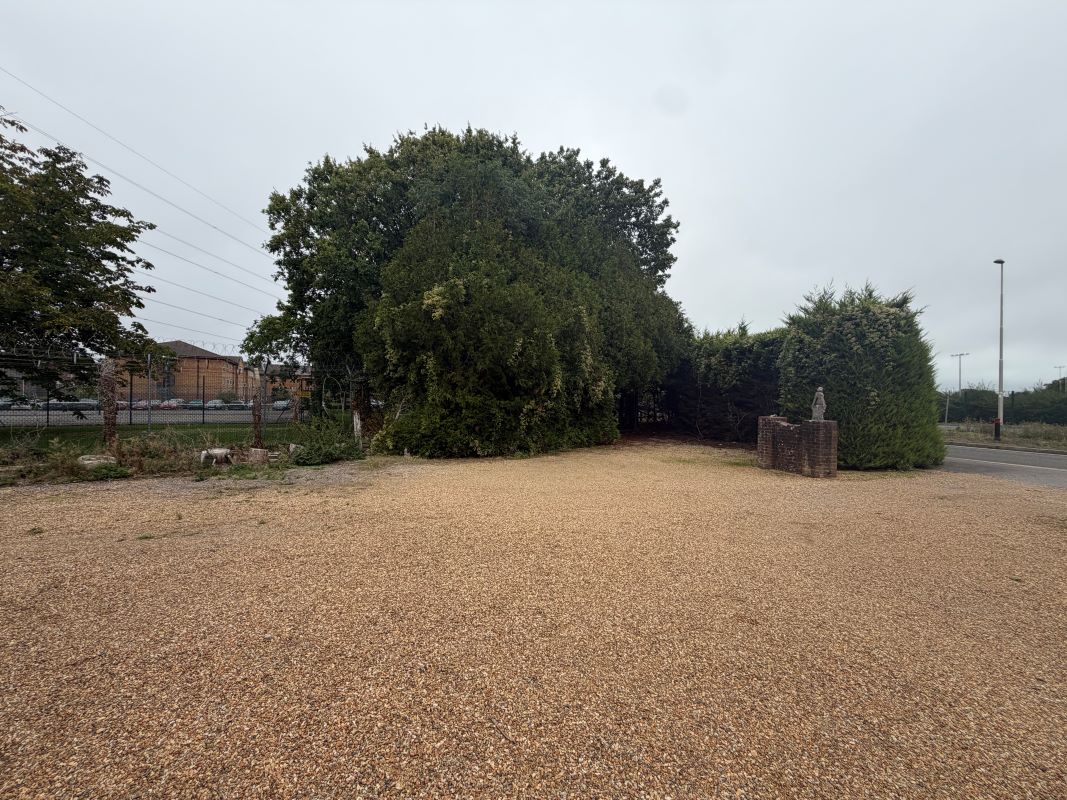 Lot Image