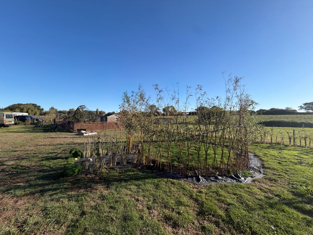 Lot Image