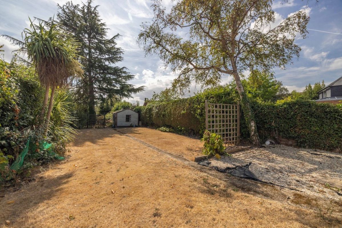 Lot Image