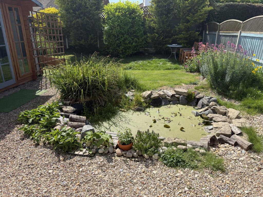Lot Image