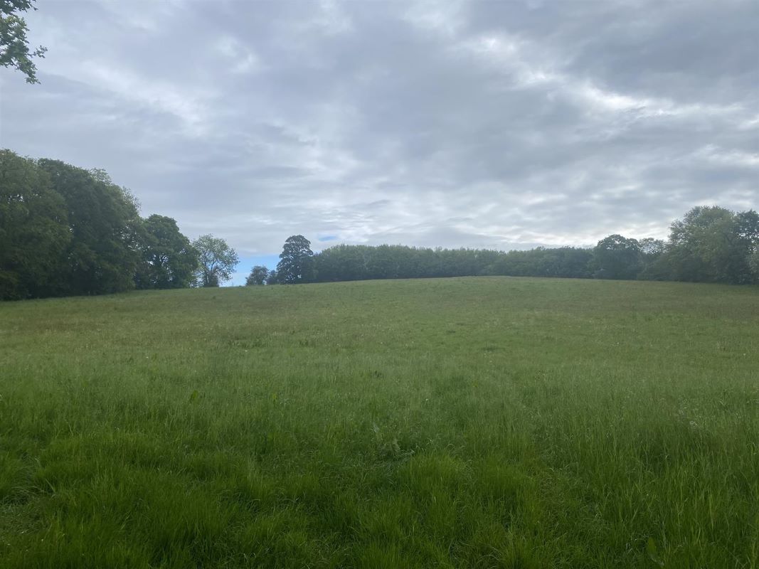 Lot image 1 of 1