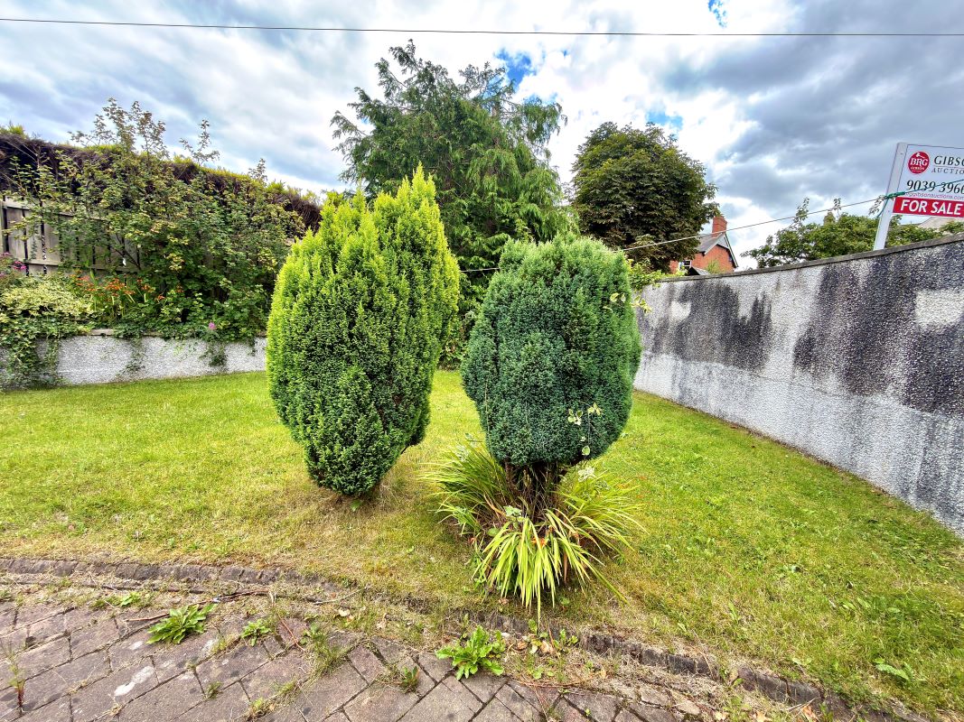 Lot Image