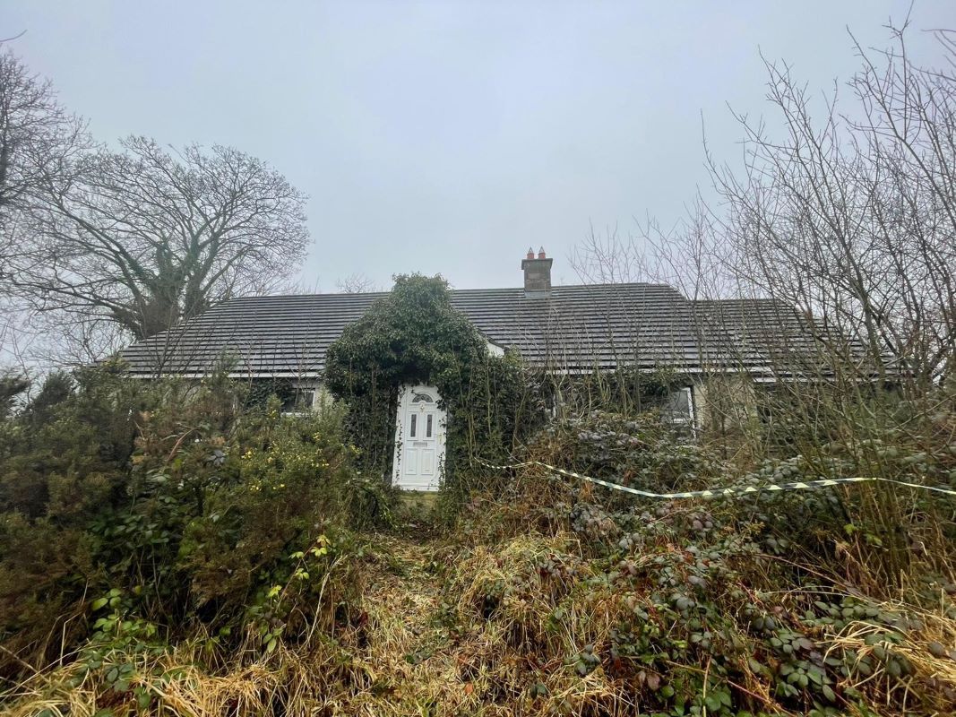 Search Results Online Auctions