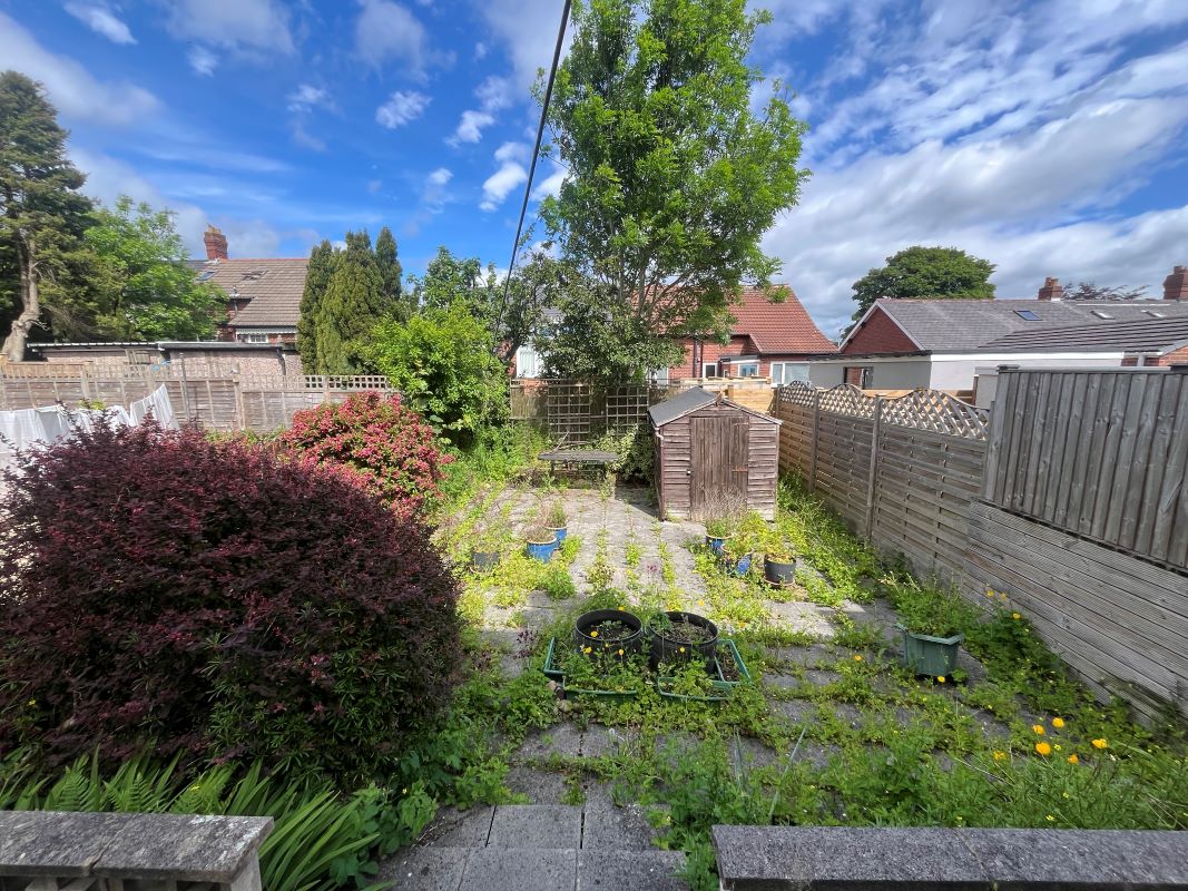 Lot Image