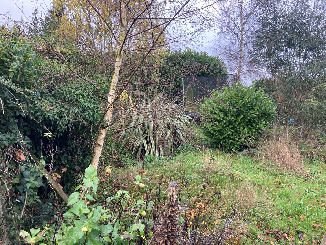 55 Market Street, Shipdham, Thetford, Norfolk, IP25 7LZ