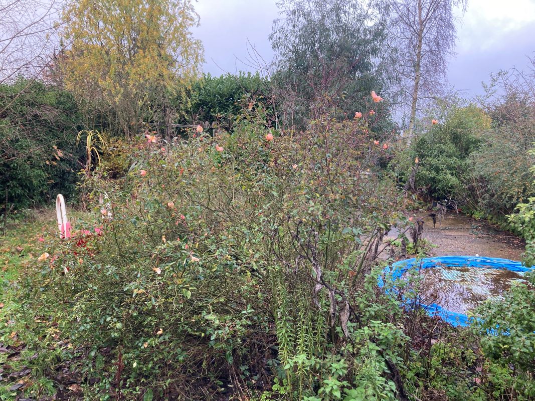 55 Market Street, Shipdham, Thetford, Norfolk, IP25 7LZ