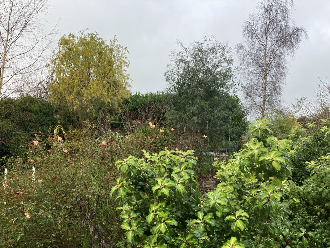 55 Market Street, Shipdham, Thetford, Norfolk, IP25 7LZ