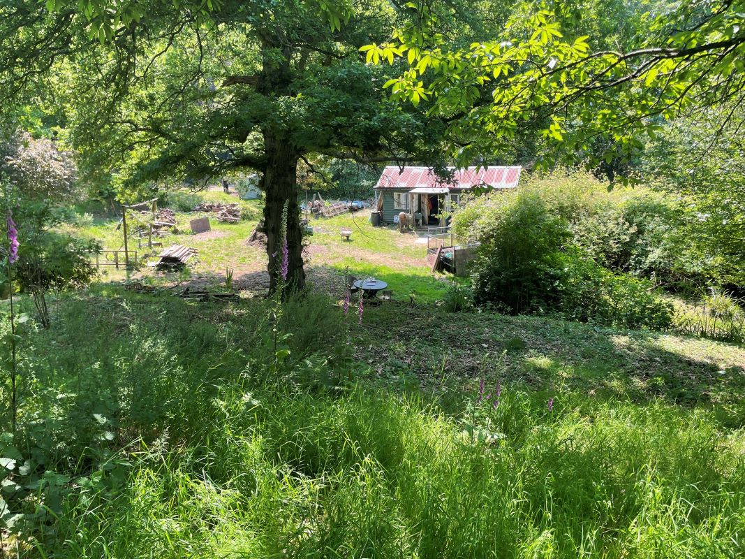 Lot Image