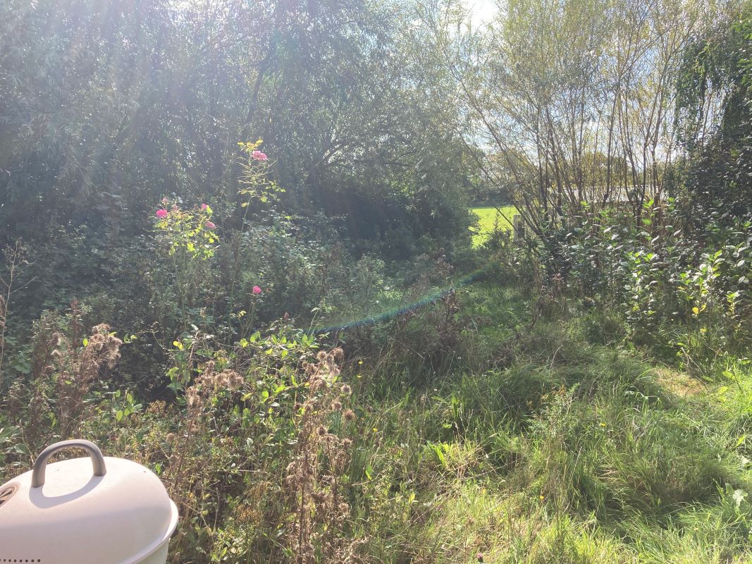 13 Tilney Road, East Tuddenham, Dereham, Norfolk, NR20 3LZ