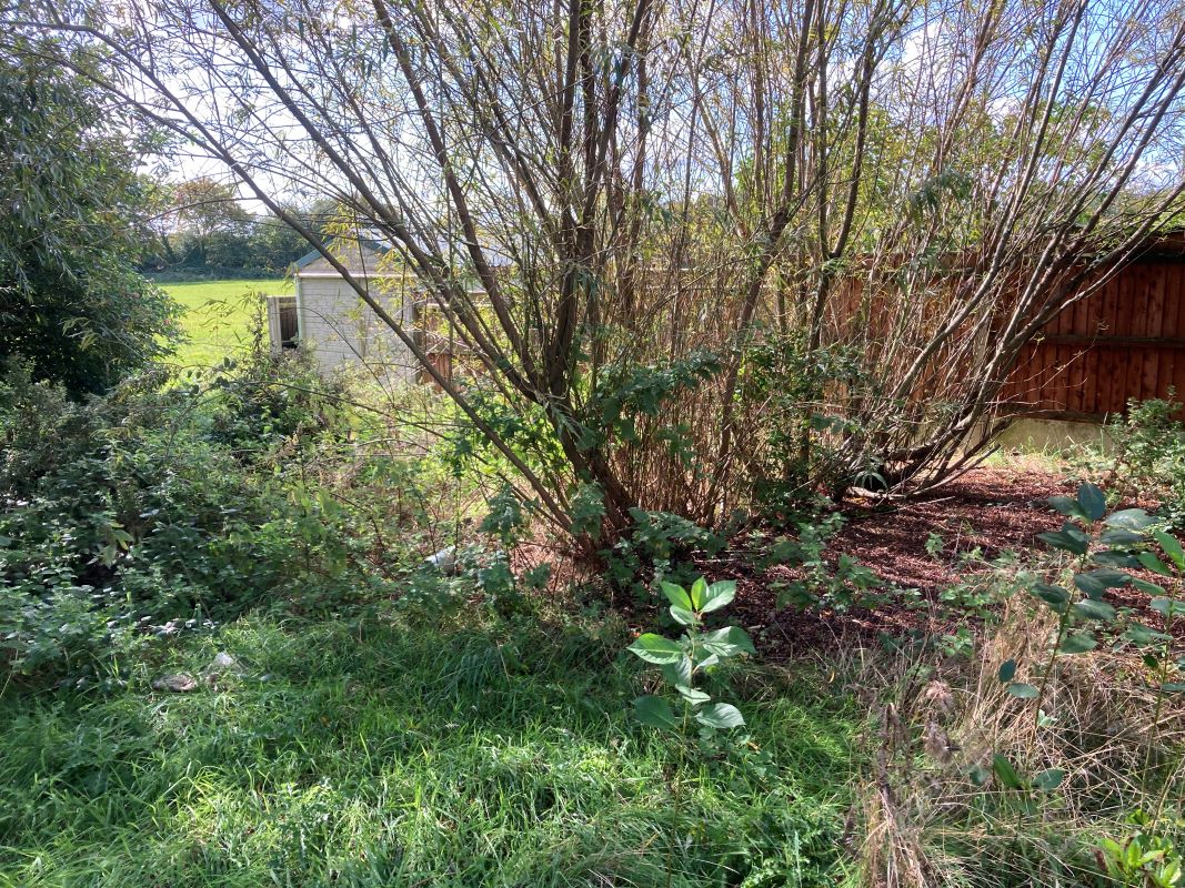 13 Tilney Road, East Tuddenham, Dereham, Norfolk, NR20 3LZ