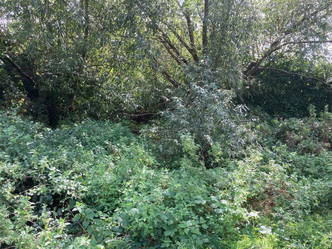 13 Tilney Road, East Tuddenham, Dereham, Norfolk, NR20 3LZ