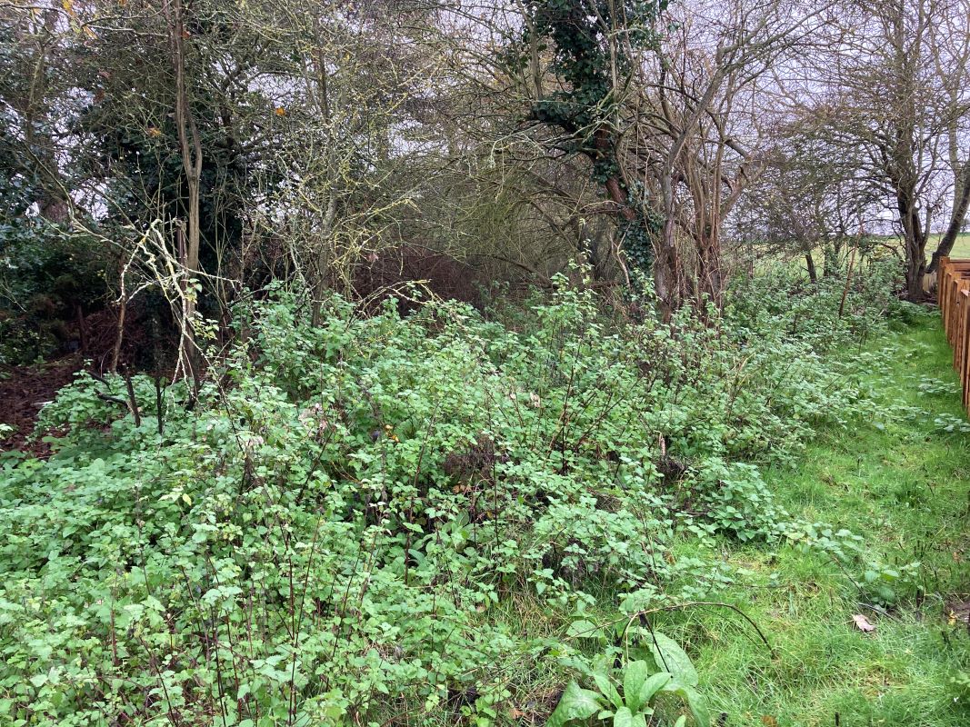 1 Pilgrims Way, Thorpeness, Leiston, Suffolk, IP16 4LZ