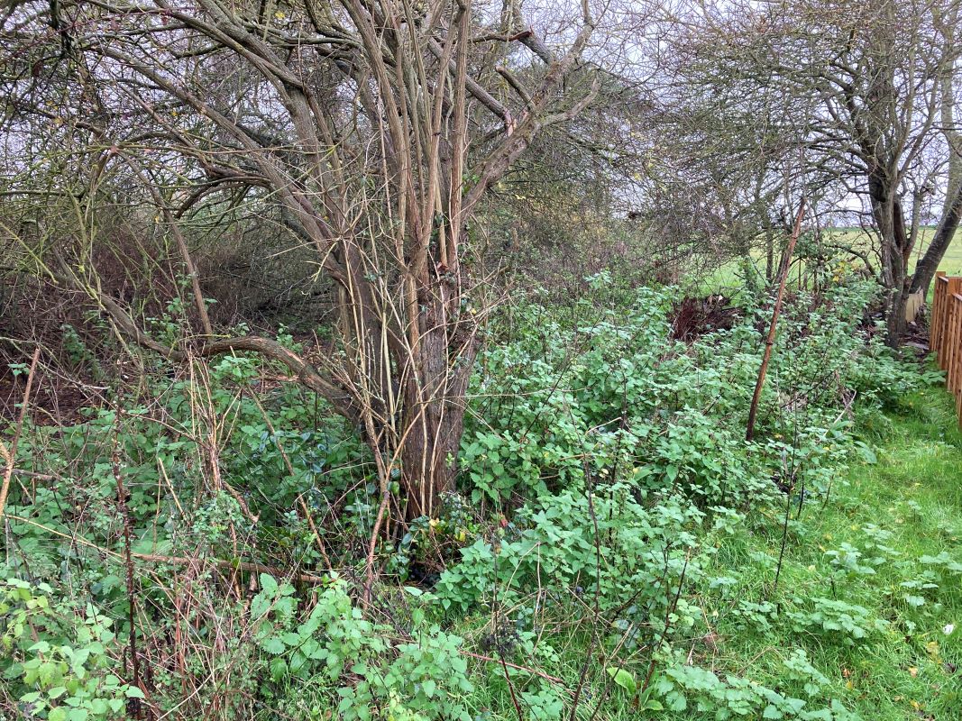 1 Pilgrims Way, Thorpeness, Leiston, Suffolk, IP16 4LZ