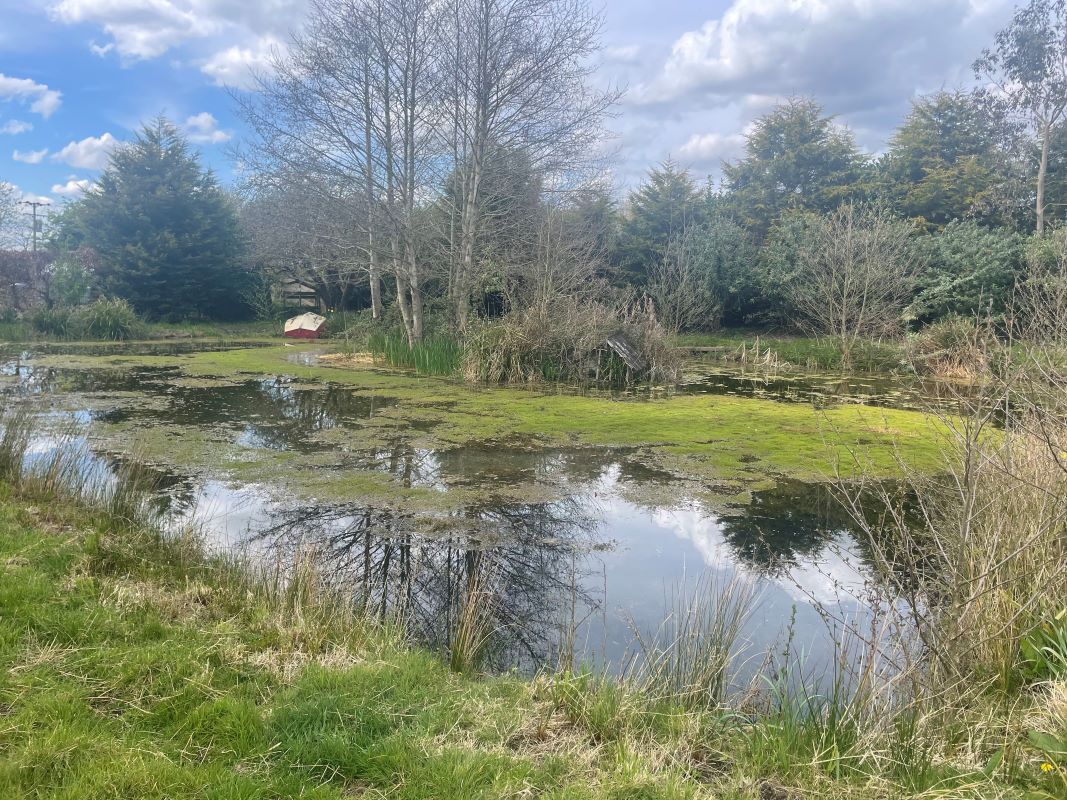 Landguard House, The Street, Erpingham, Norwich, Norfolk, NR11 7QB