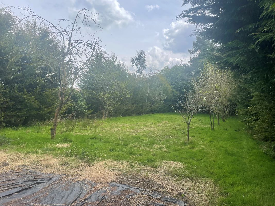 Landguard House, The Street, Erpingham, Norwich, Norfolk, NR11 7QB