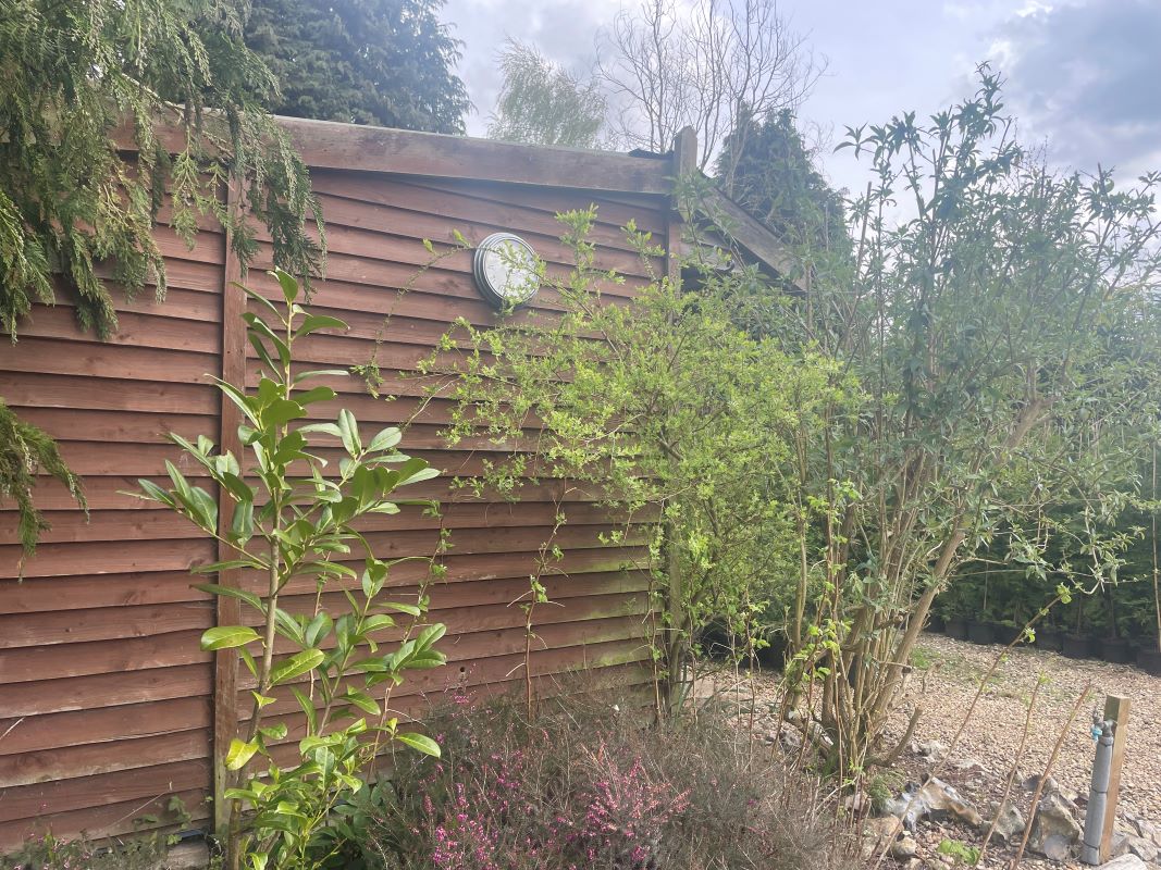 Landguard House, The Street, Erpingham, Norwich, Norfolk, NR11 7QB